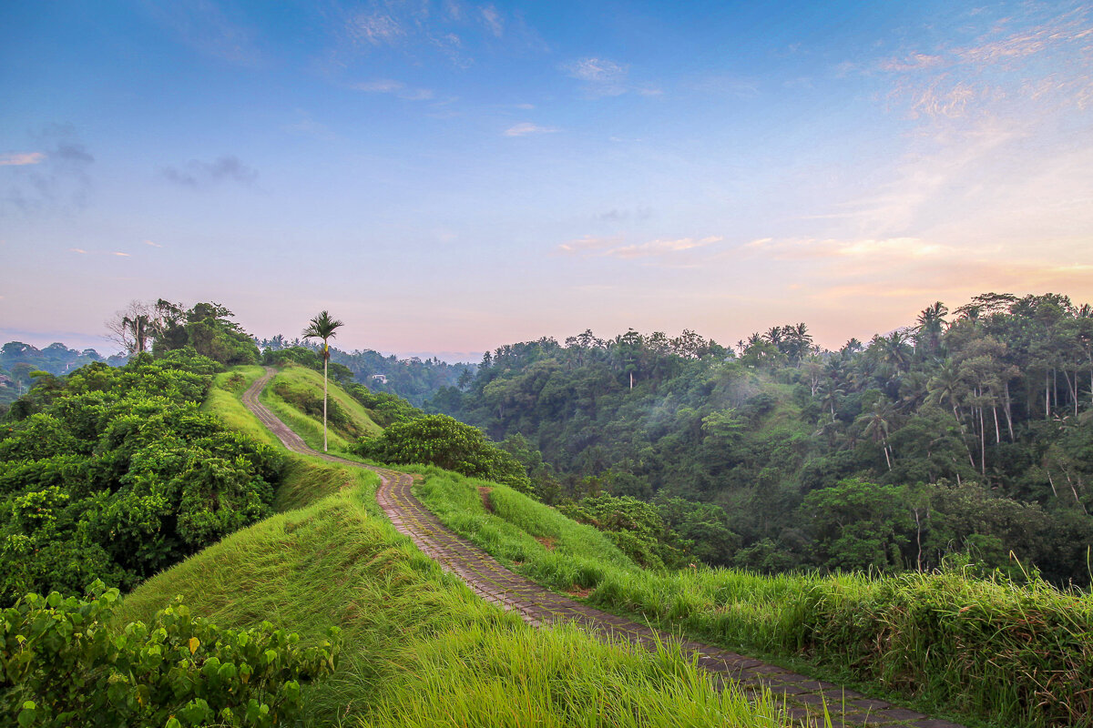 Où dormir à Ubud ? Dans quel secteur de la ville se loger