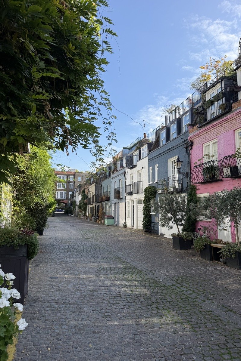 Ruelle pavée bordée de maisons colorées et de plantes en pot